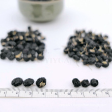 30% Discount Premium quality Chinese medicine fruit organic fruit Eu certification Dried Organic black berries price